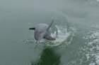 dsc01615_small.jpg