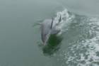 dsc01616_small.jpg