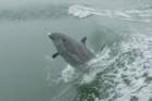 dsc01646_small.jpg