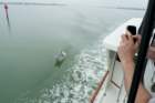 dsc01662_small.jpg