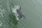 dsc01690_small.jpg