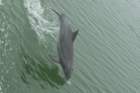 dsc01692_small.jpg