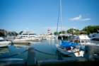 hilton_head_sc_dsc03148_small.jpg