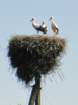 dsc00259_small.jpg