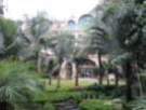 dsc00464_small.jpg