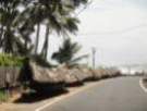 dsc00466_small.jpg