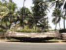 dsc00467_small.jpg