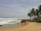 dsc00471_small.jpg