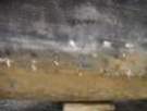 dsc00475_small.jpg