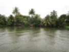 dsc00486_small.jpg