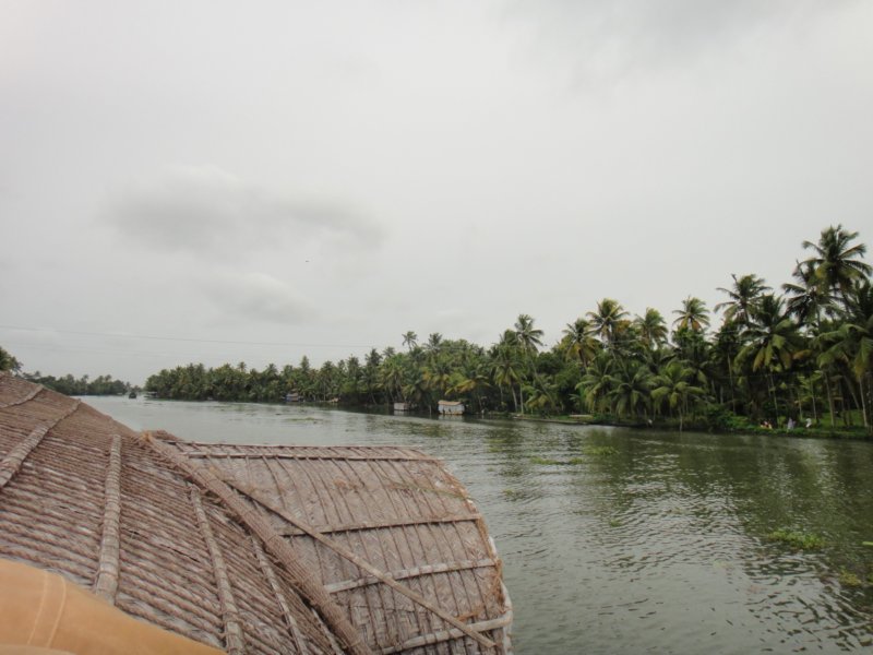 DSC00501 dsc00501.jpg