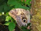 dsc00936_small.jpg