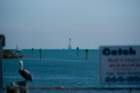 dsc06063_small.jpg