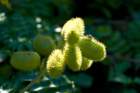 dsc06084_small.jpg