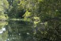 2011-06-02_wakulla_springs