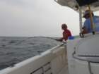 dsc01119_small.jpg