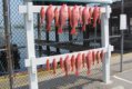 2011-06-03_destin_army_rec_area_index.jpg