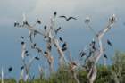 dsc07404_small.jpg