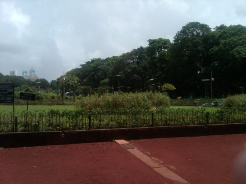 img00133201109160234.jpg