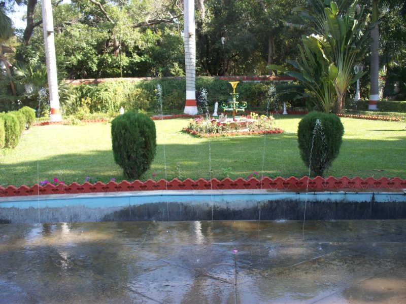 100_4482 _4482.jpg