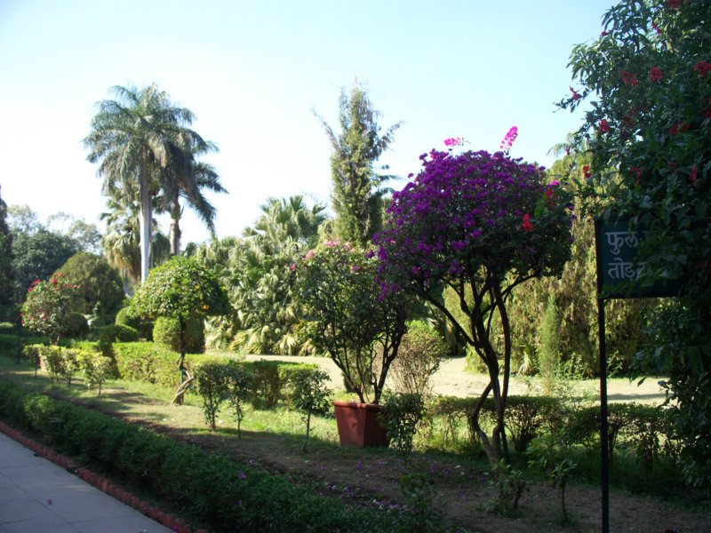 100_4485 _4485.jpg