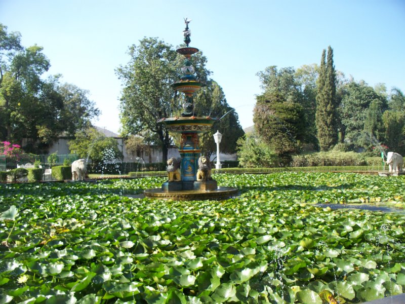 100_4487 _4487.jpg