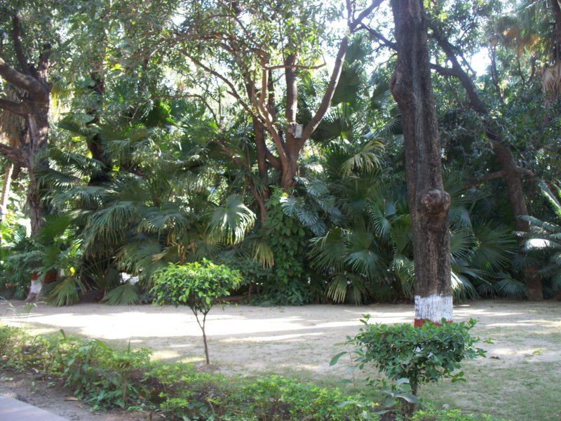 100_4489 _4489.jpg