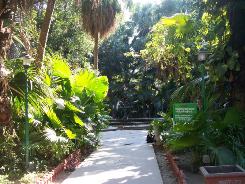 100_4490 _4490.jpg