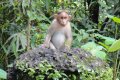 india_trip2_index.jpg