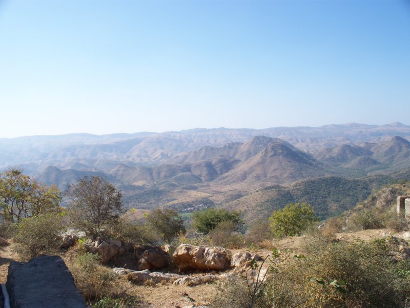 100_4505 _4505.jpg