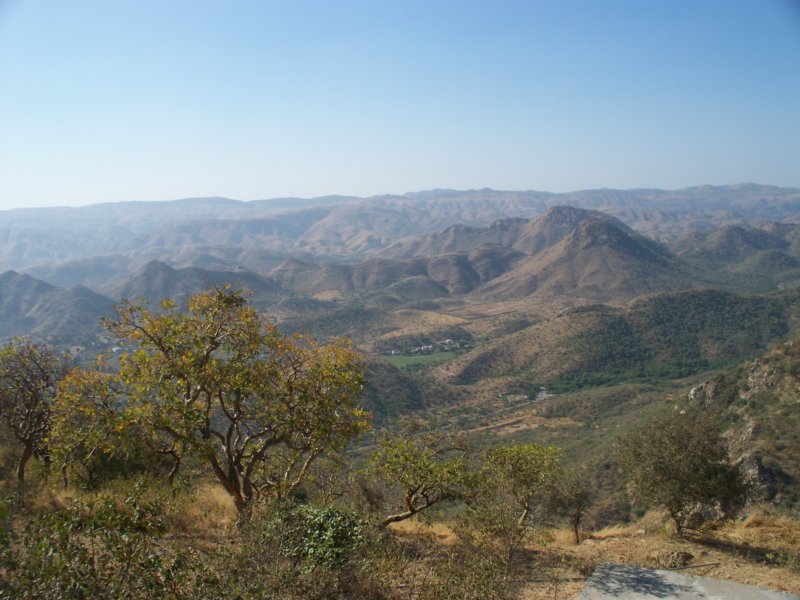 100_4506 _4506.jpg