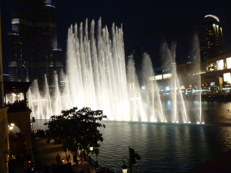 P1000966 p1000966.jpg