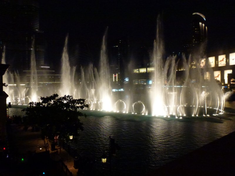 P1000967 p1000967.jpg