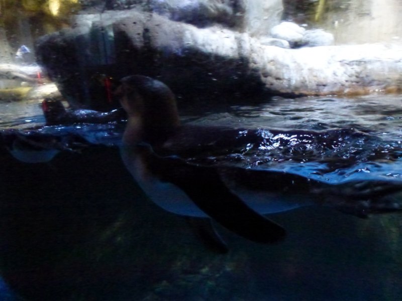 P1000997 p1000997.jpg