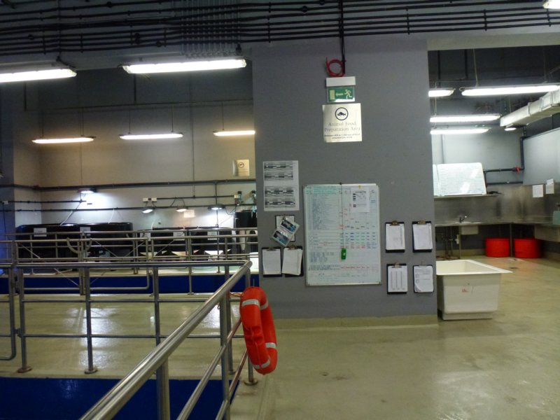 P1010020 p1010020.jpg