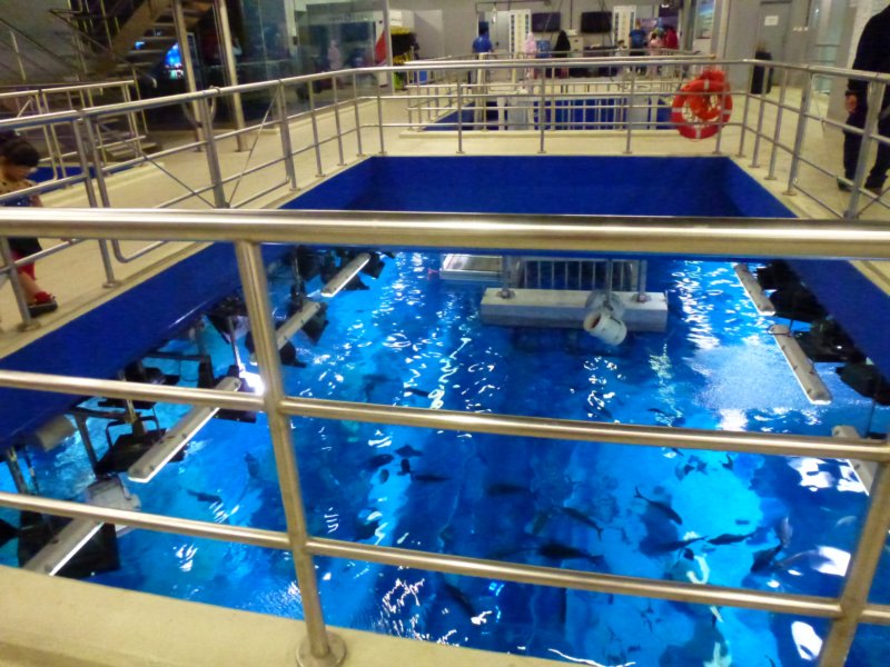 P1010022 p1010022.jpg