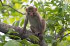 dsc08385_small.jpg