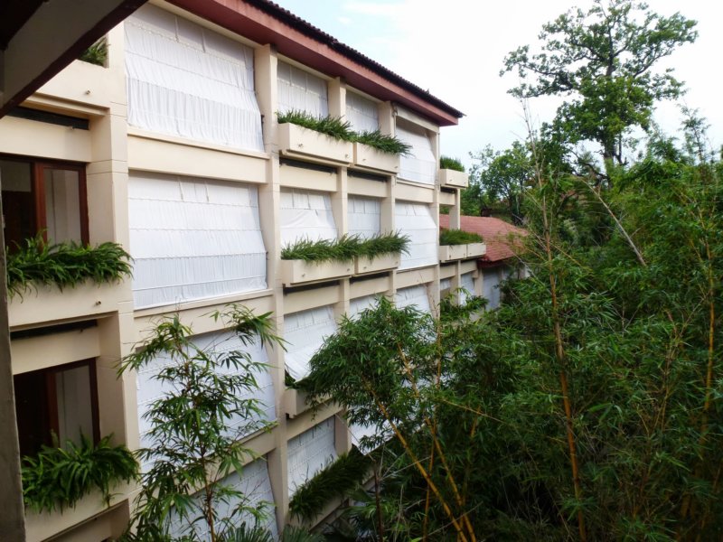 23-Ananda ananda.jpg