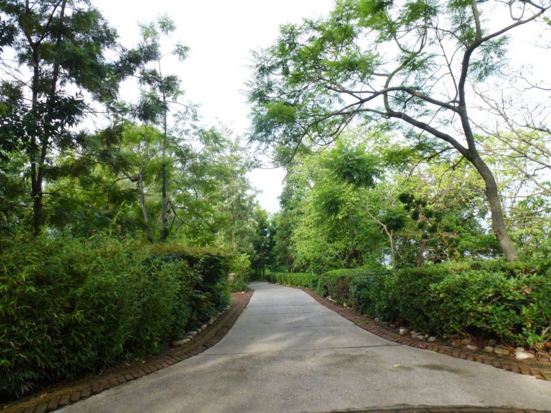 29-Ananda7 ananda7.jpg
