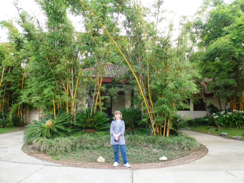 Ananda-Me in Front of Spa anandameinfrontofspa.jpg