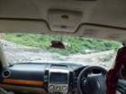 onwaytoananadawashedoutroad2_small.jpg