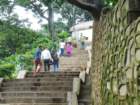 monkeysatswayambhunathstupa_small.jpg