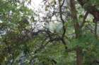 dsc03051_small.jpg