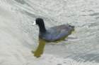 dsc03071_small.jpg