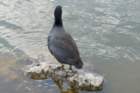 dsc03073_small.jpg