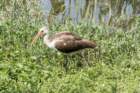 dsc03076_small.jpg