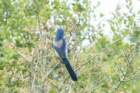 dsc03080_small.jpg