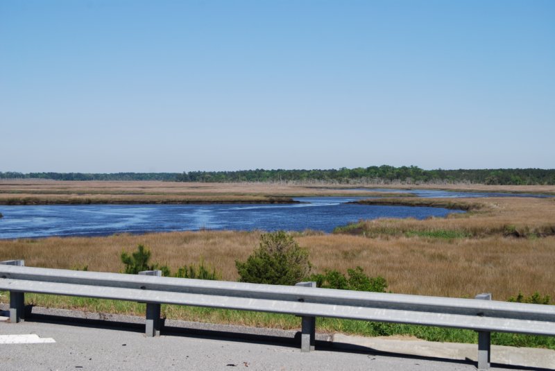 DSC_3135 dsc_3135.jpg