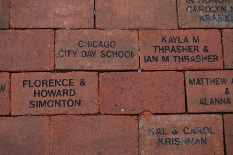 DSC_3318 dsc_3318.jpg