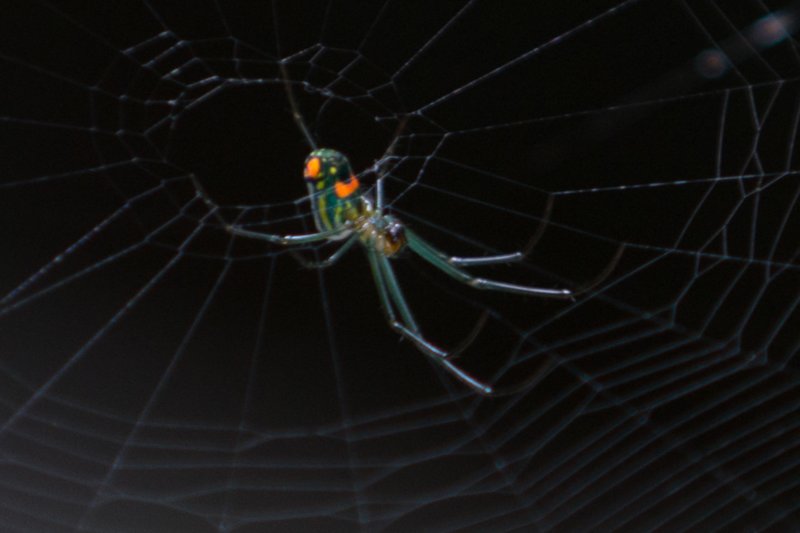 DSC03500 dsc03500.jpg